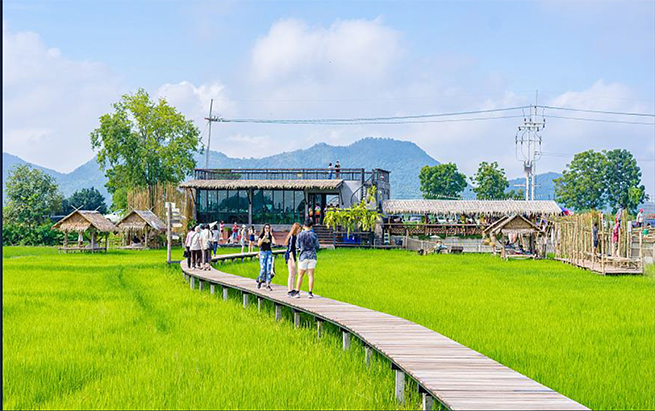 田园综合|RURAL COMPLEX
