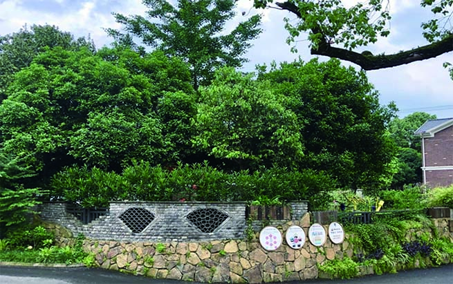 田园综合|RURAL COMPLEX
